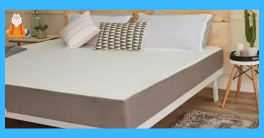 Wakefit orthopedic memory foam